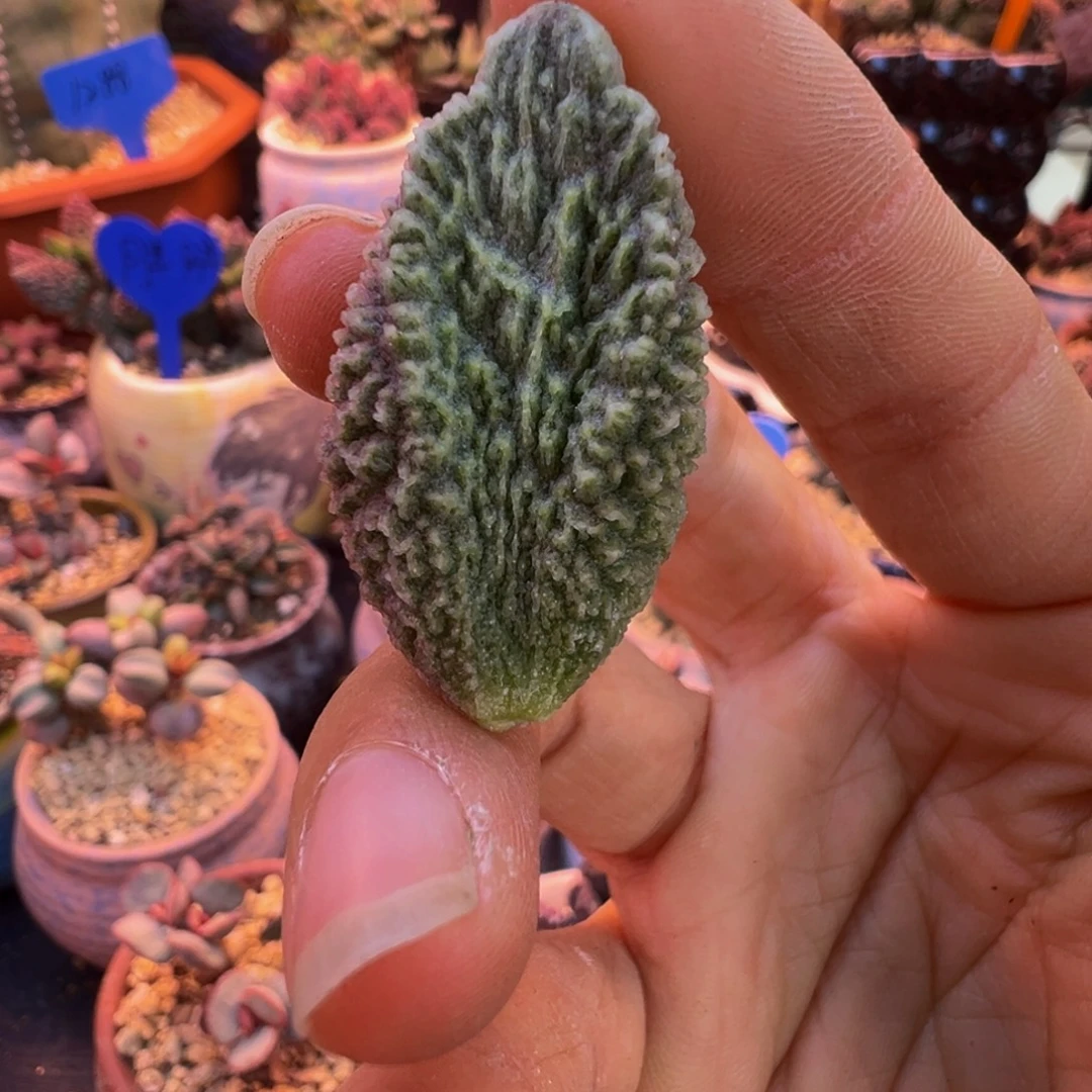 简***单好吧好嘛好吧我的宝我
