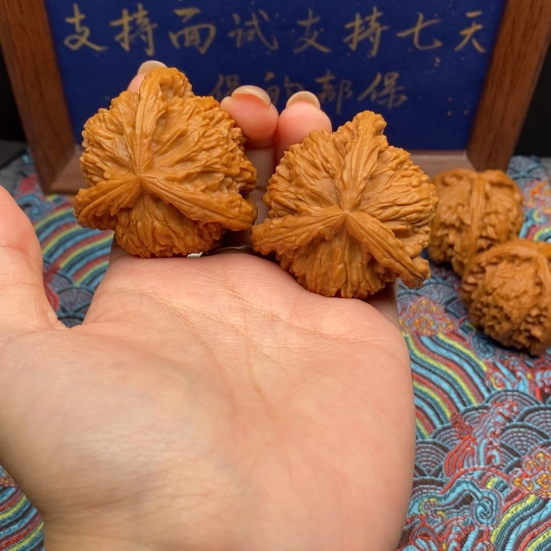 【闪购商品】佛**?白狮