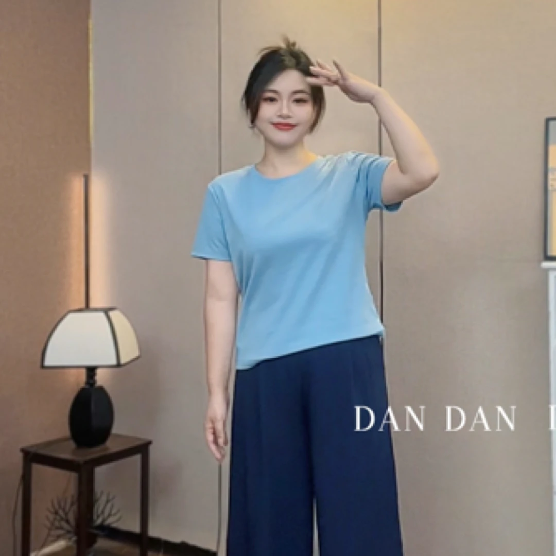 丹丹微胖2025夏季简约小众纯色正肩显瘦棉感短袖T恤