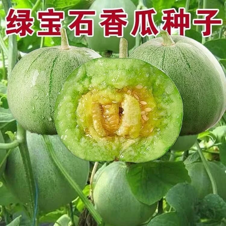 绿宝石甜瓜种子超甜薄皮早熟甜瓜种子高产香瓜种子四季播水果种G