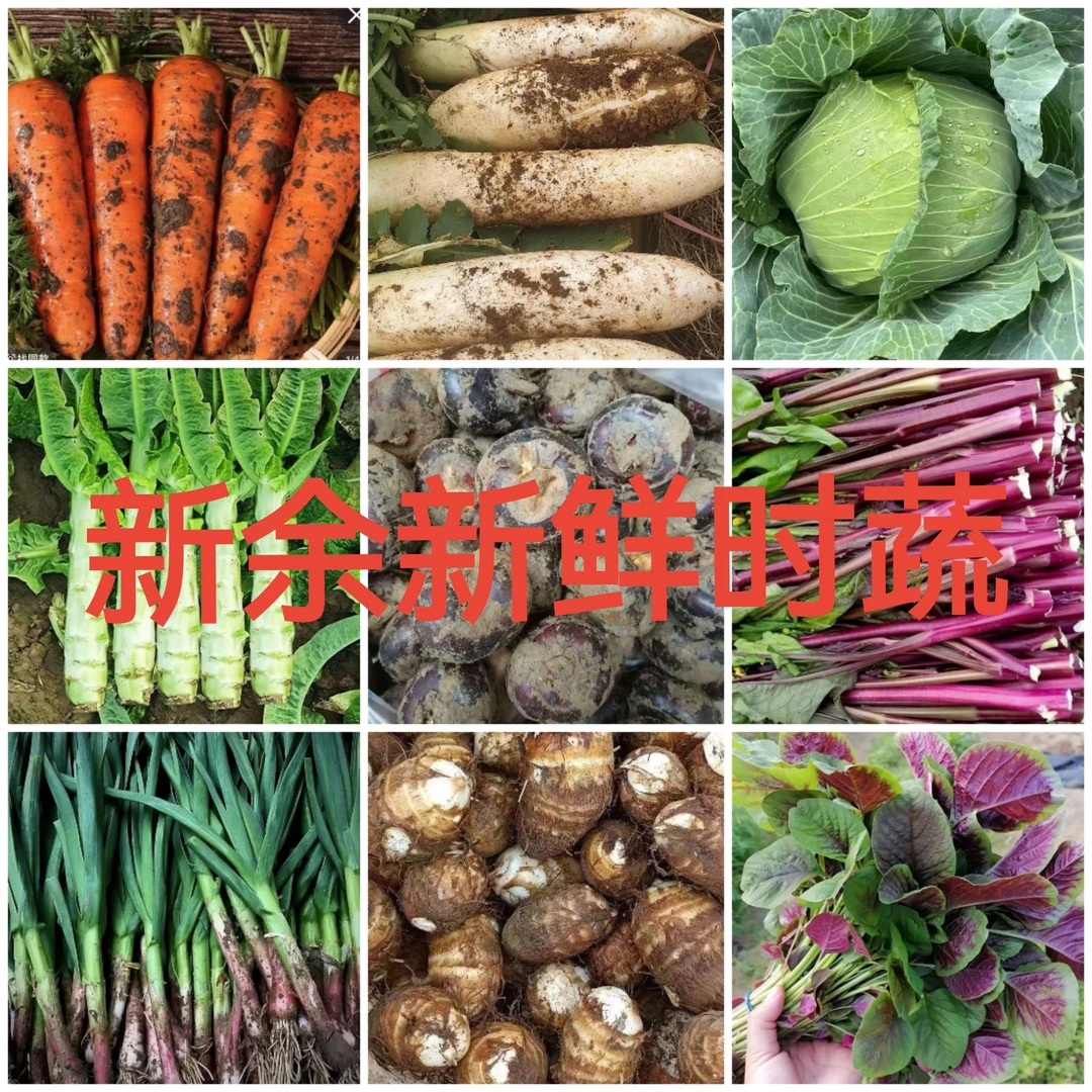 【书记助农】江西新余新鲜蔬菜（不支持退货、介意勿拍）大蒜萝卜包菜