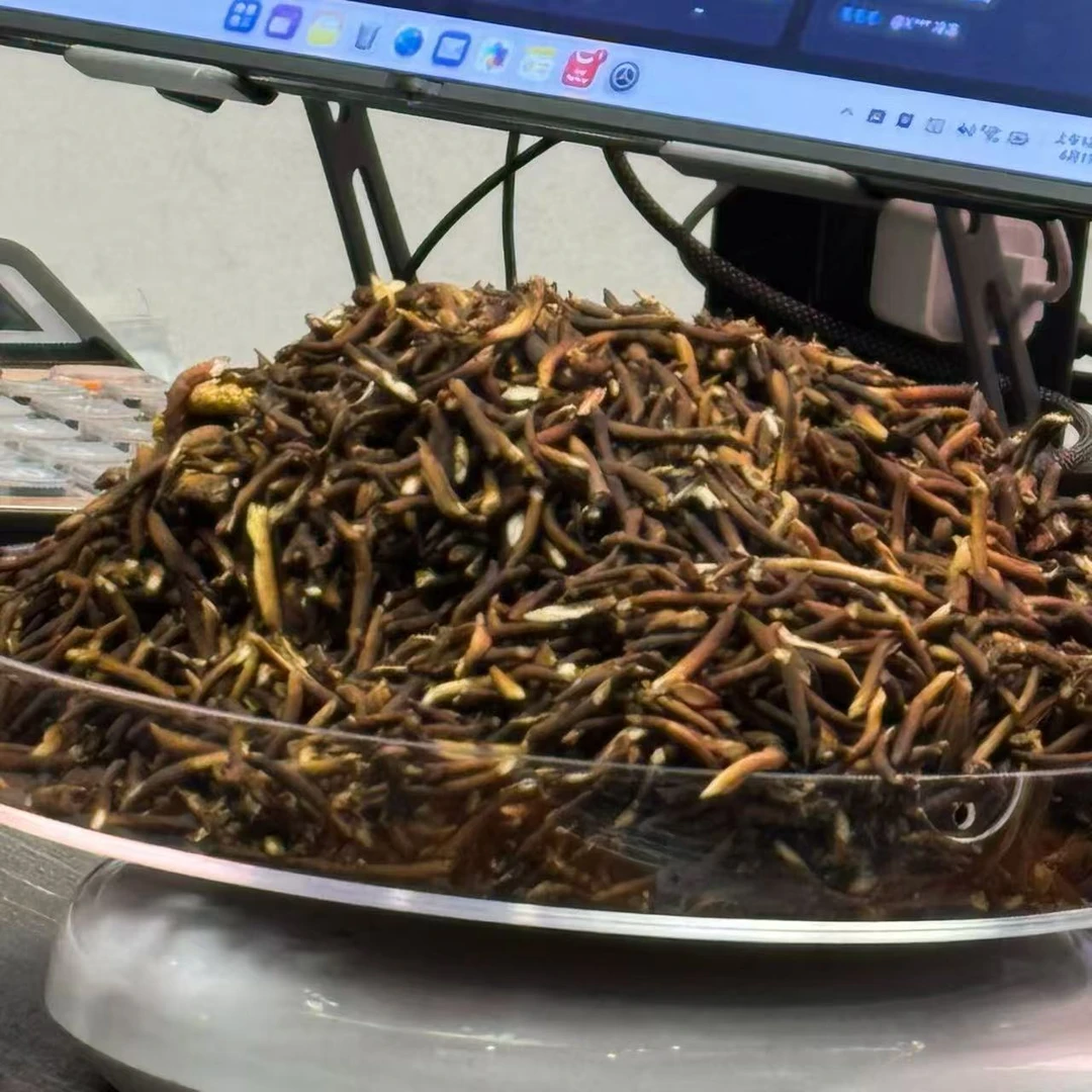 鲜草【冬虫夏草】尾巴  滋补佳品 真空顺丰包邮