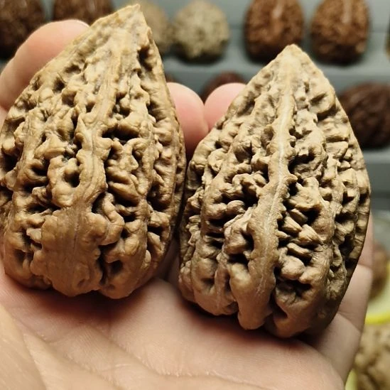 楸***谊吊坠文玩核桃大楸核桃2号