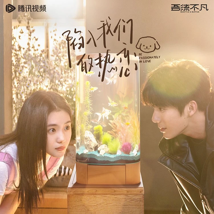 【叠叠】吾流不凡《陷入我们的热恋》不止热恋收藏卡盲盒卡牌