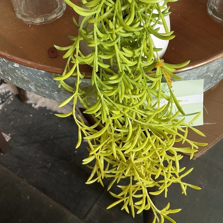 陶瓷花瓶部分（微瑕）