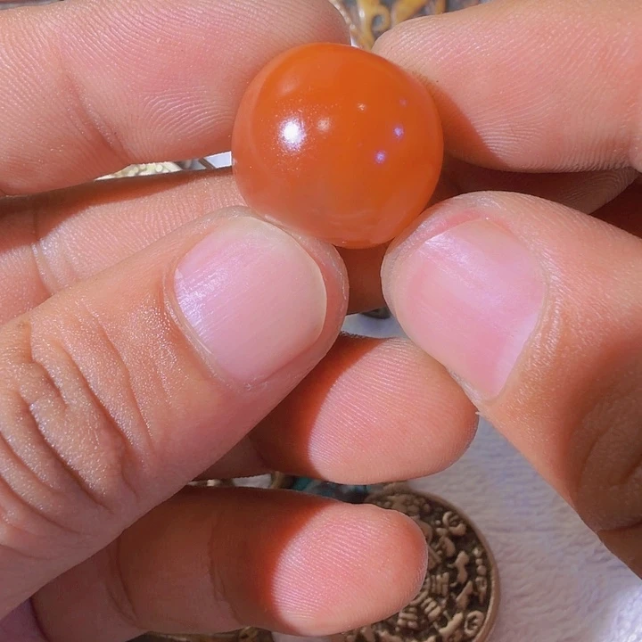 藏传公子公子公子