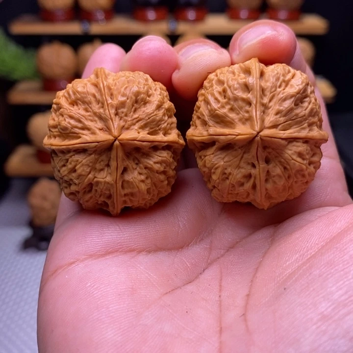 核桃云铁珊瑚纹四棱63号
