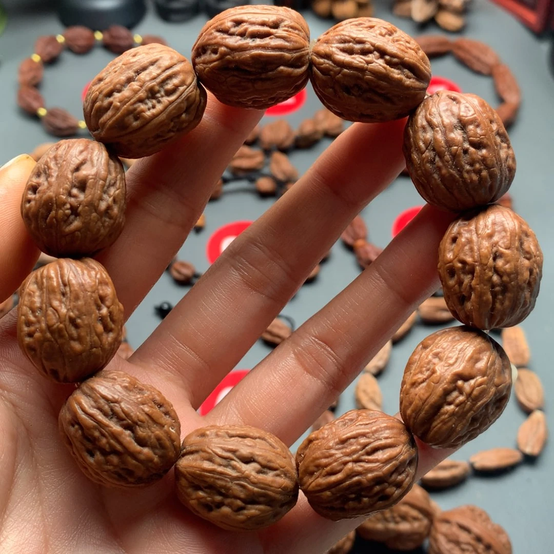 核桃1东北秋子小枣