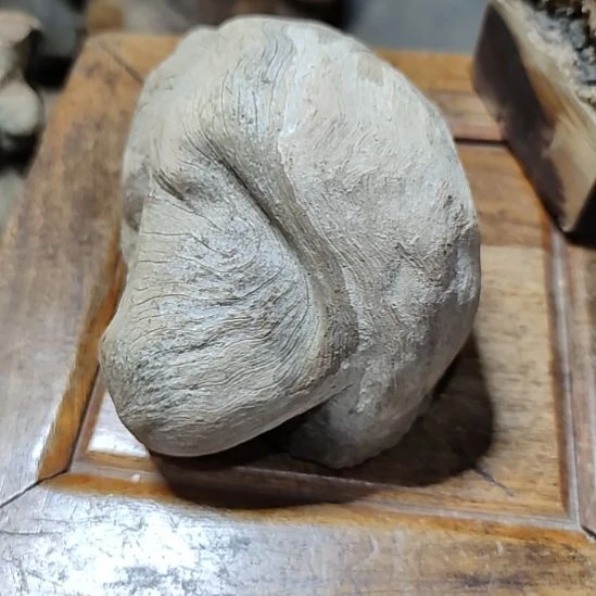 柏木崖柏工艺品撄子榴