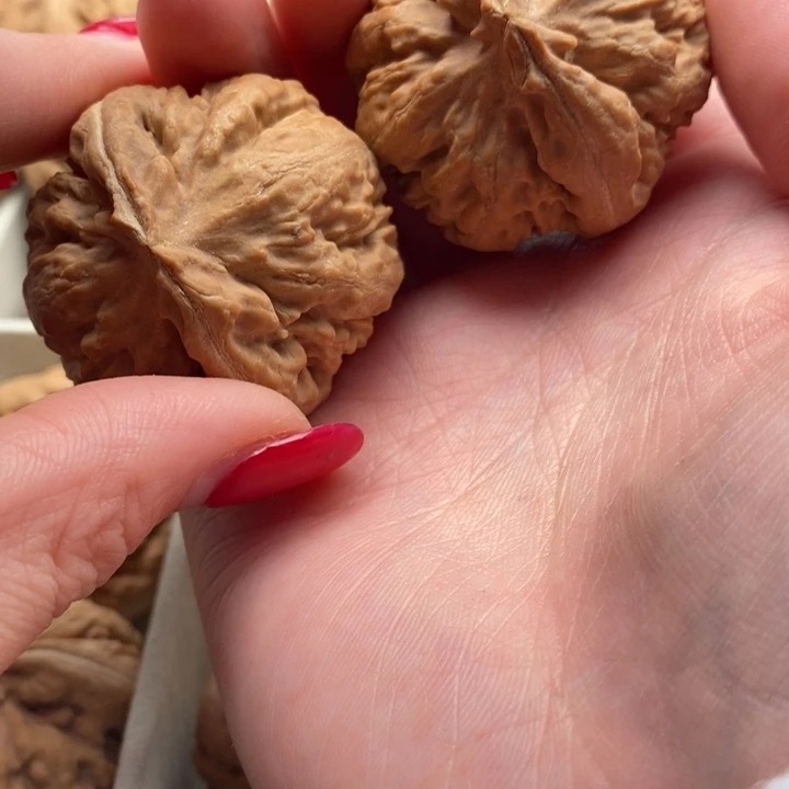 王***爷霸王龙全品无修一刀没动