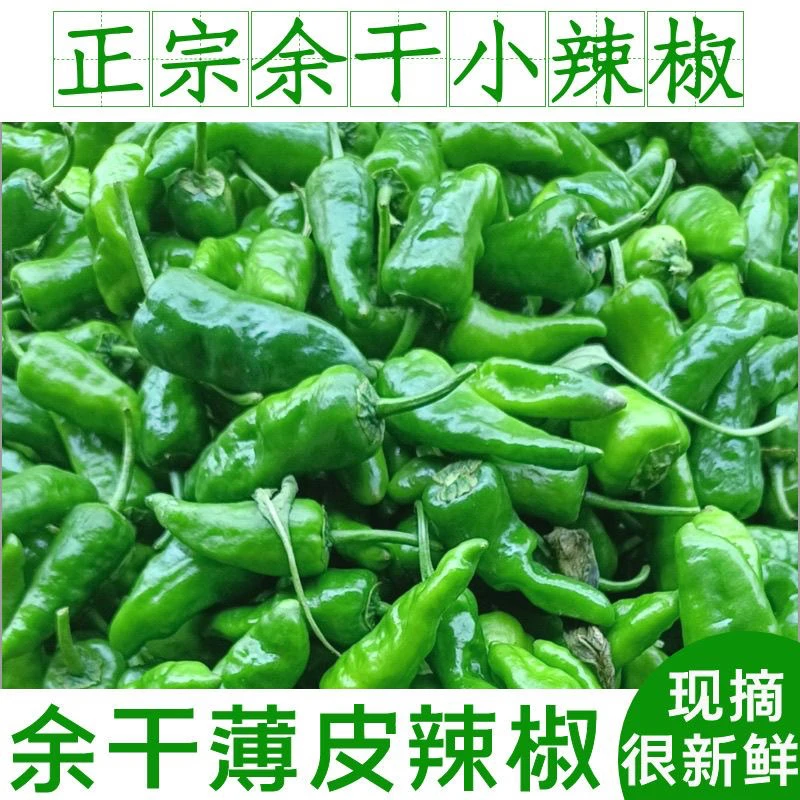 余干辣椒露天种植辣椒薄皮超辣正宗余干椒农家