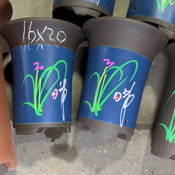 紫砂花盆紫砂的颜色和质地一样鲜艳