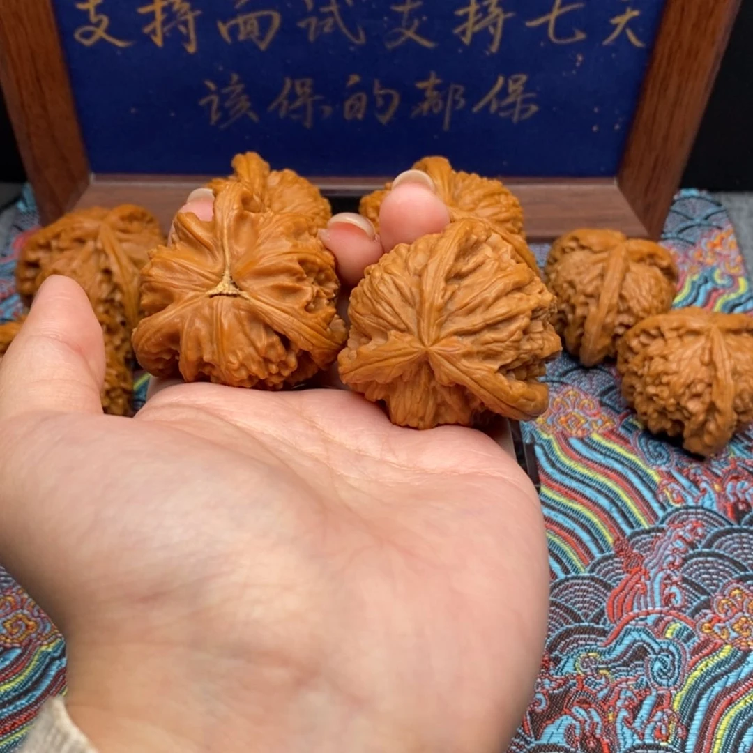 【闪购商品】竹**悠白狮