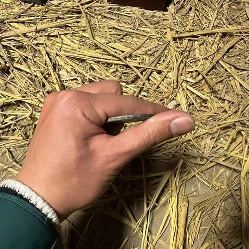 1007-精选家居摆件-现代仿古摆件-SG