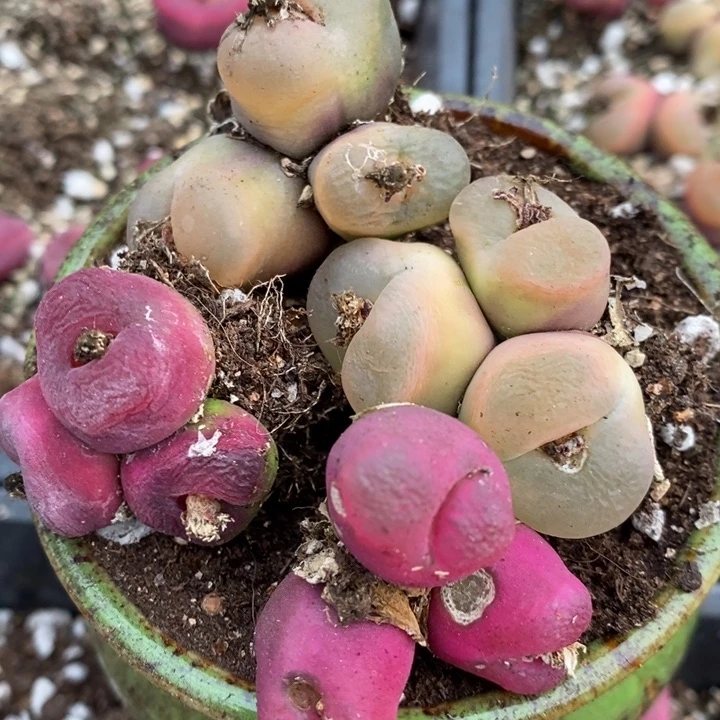 2102有伤一组一组