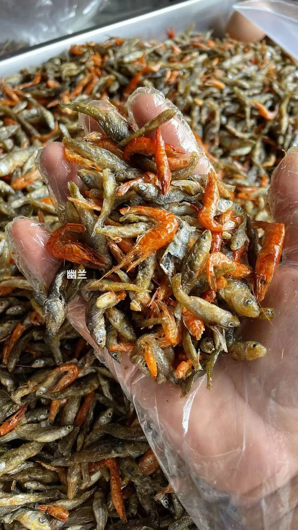 湖北大别山小河鱼河虾