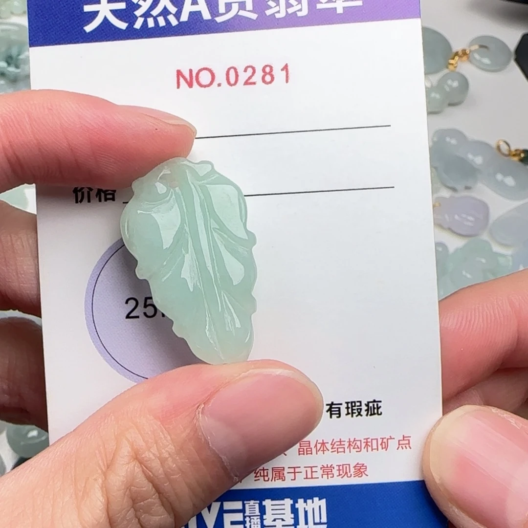 翡翠未镶嵌颈饰281