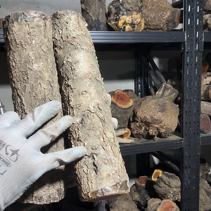 深***头香榧木火琉璃的故事是一个