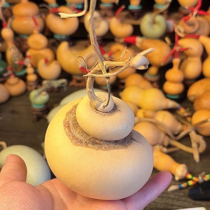 葫***哥蜗牛腰子葫芦天天开心