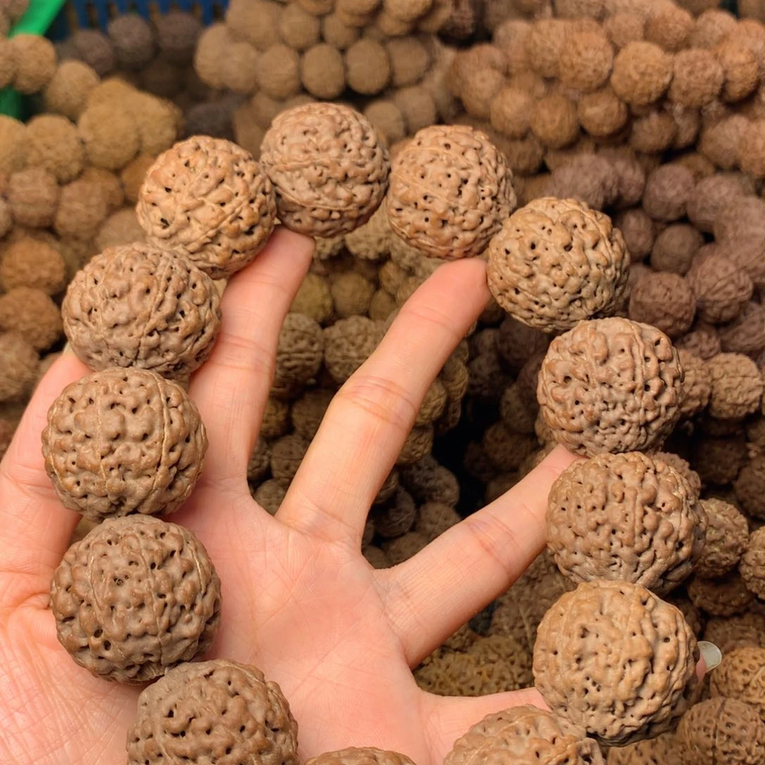 木8瓣爆肉卡30尺寸，50号