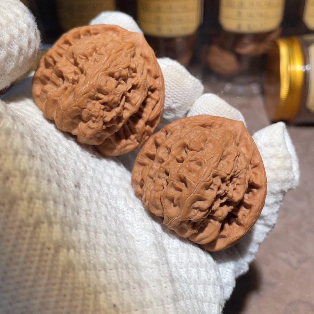 核桃45三角梅花mmmm