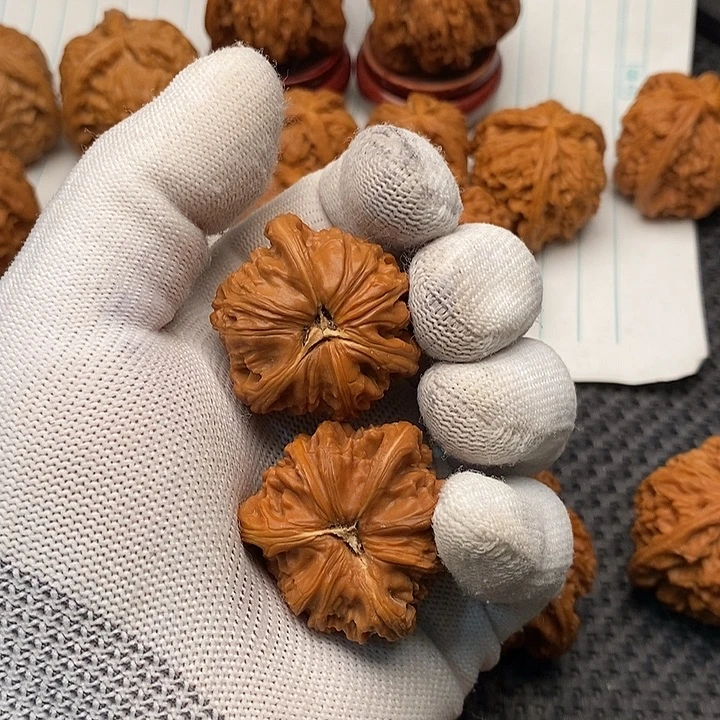 核桃手串/手链拼接白狮子27