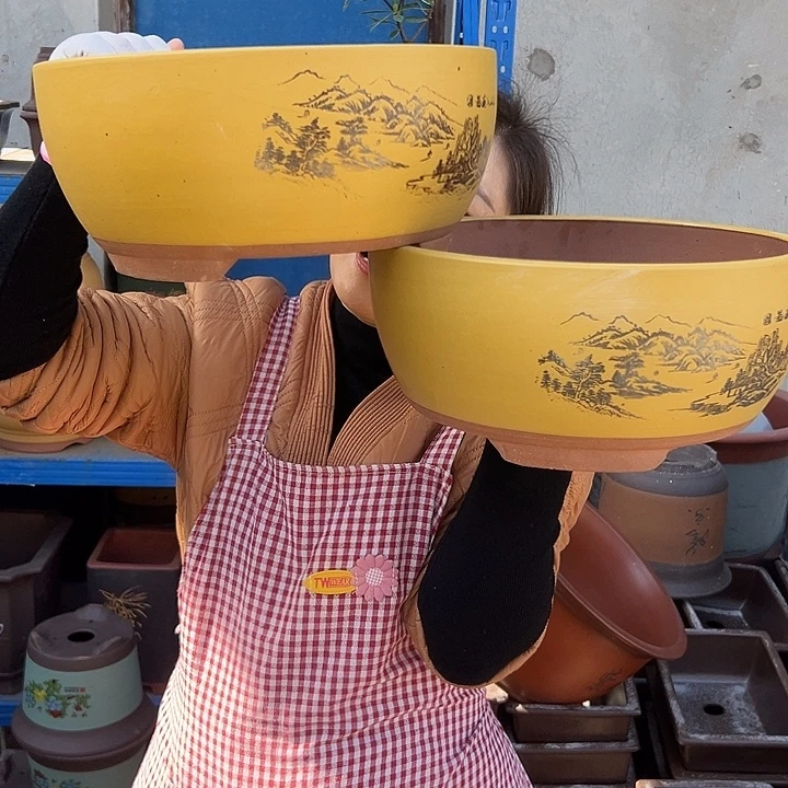 黄色江山如画中一对花盆花盆