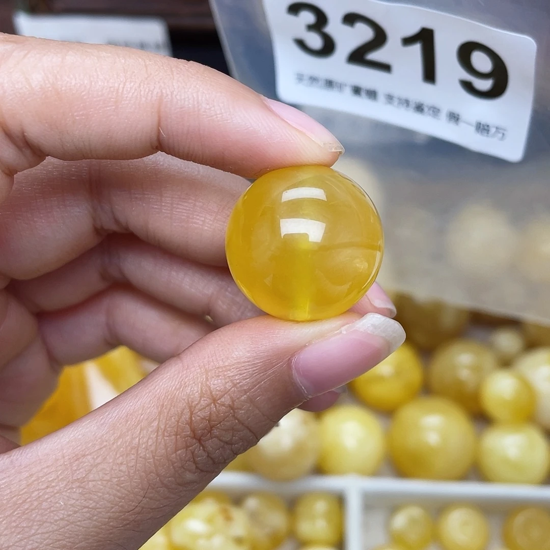 九****蜜蜡未镶嵌珠宝奇石20.3植物