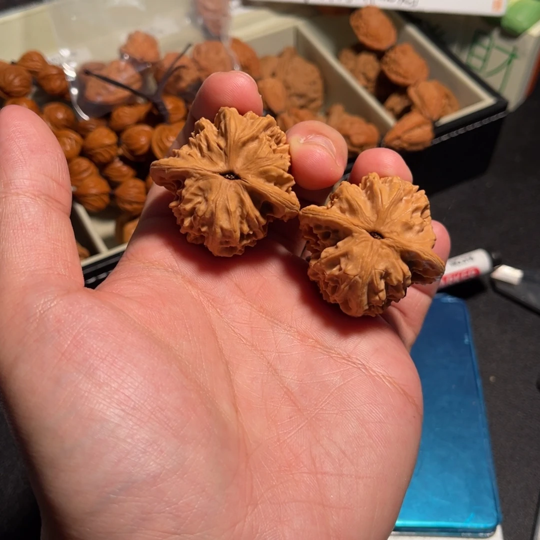 开单对儿39全品盘龙虎