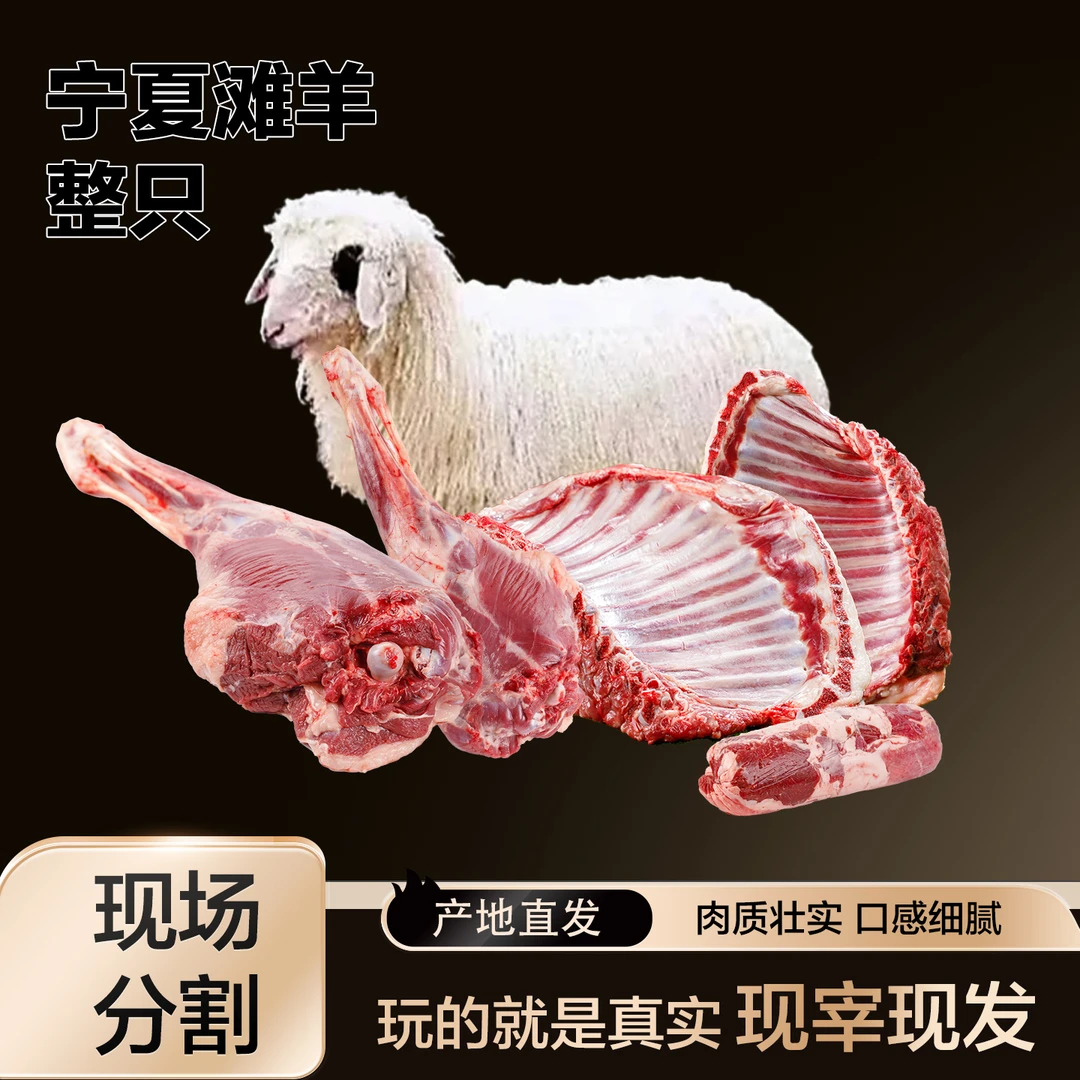 宁夏滩羊整只新鲜现宰不腥不膻品质好肉年货礼盒