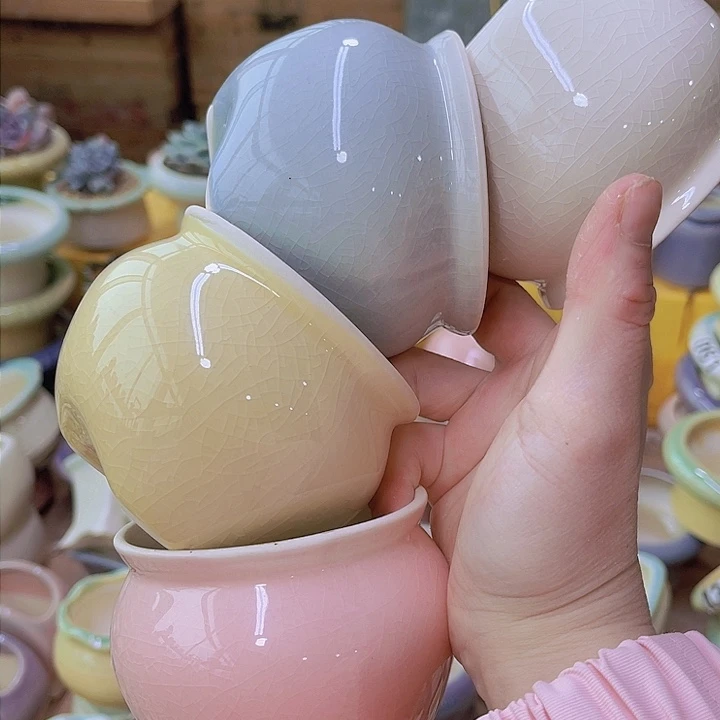 红陶陶瓷花盆当场满12包邮