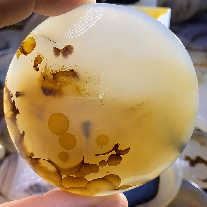未镶嵌颈饰玛瑙/玉髓