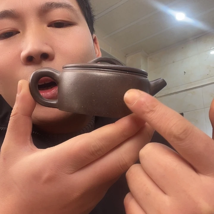 茶壶紫砂处理一把