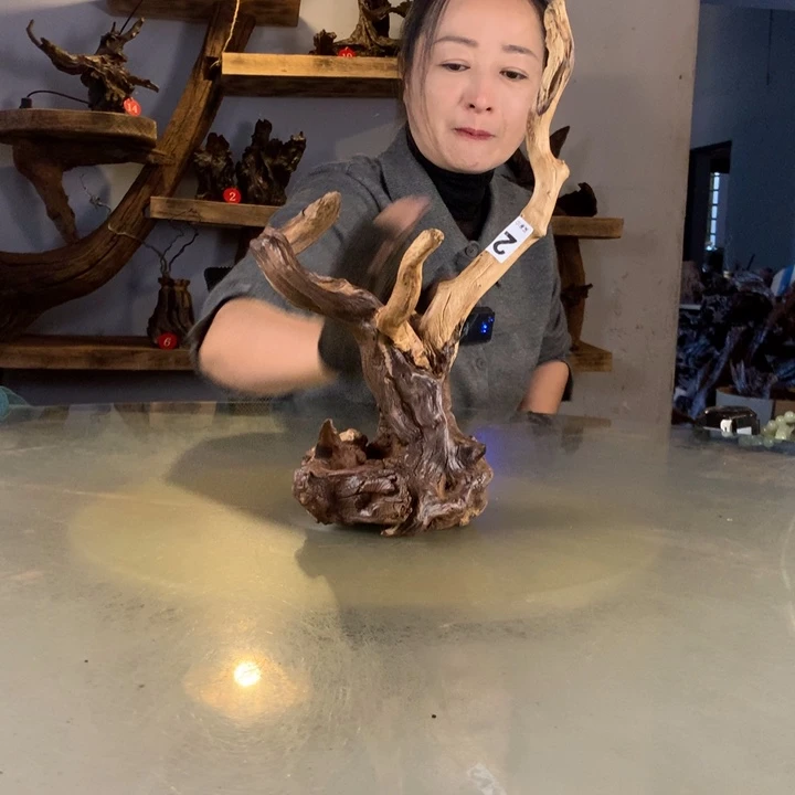 ****星天然的云南紫柚木会黄水