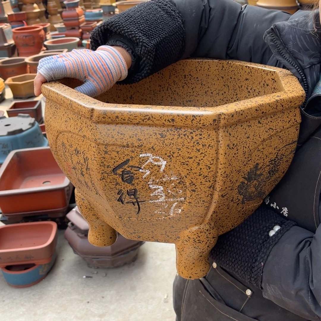 紫砂花盆盆景艺术