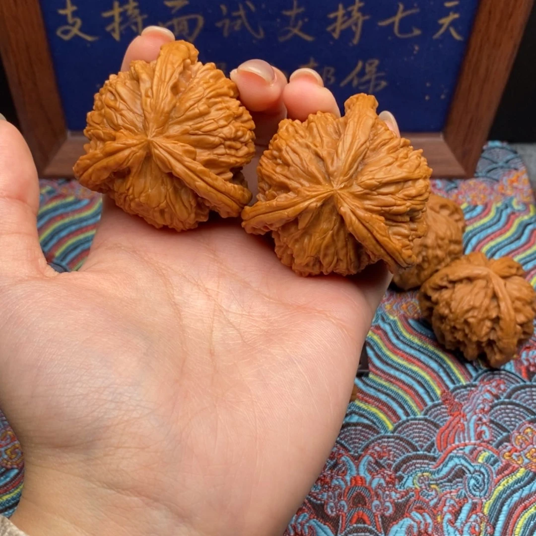 【闪购商品】咏****白狮