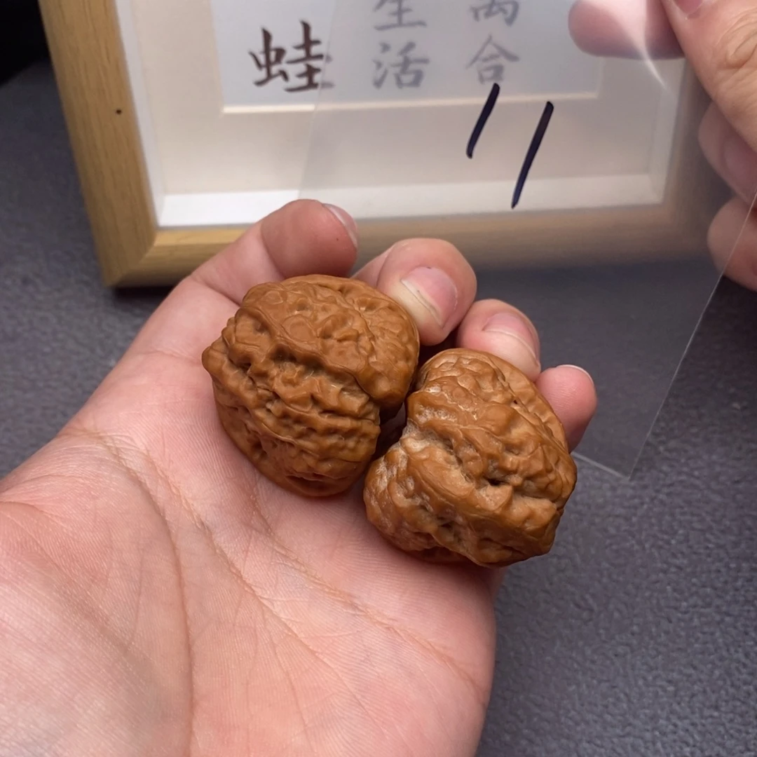 溜***圈把件文玩核桃蛤蟆头36尺