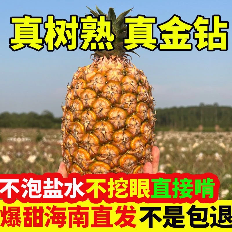 【正宗】海南金钻凤梨新鲜水果当季树上熟香水菠萝手撕凤梨整箱熟果