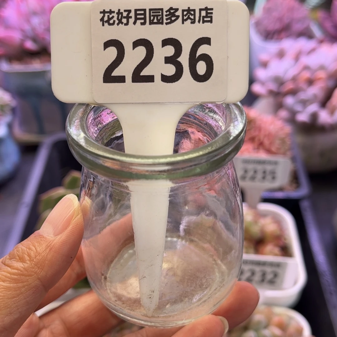 草***甜2236 满30包邮，天冷地区必拍保温箱