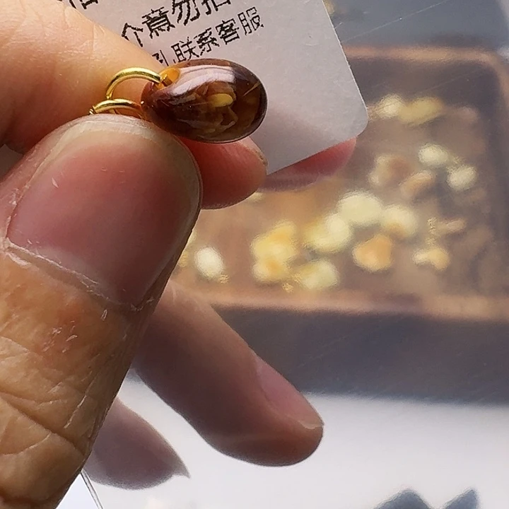 裸石琥珀未镶嵌琥珀