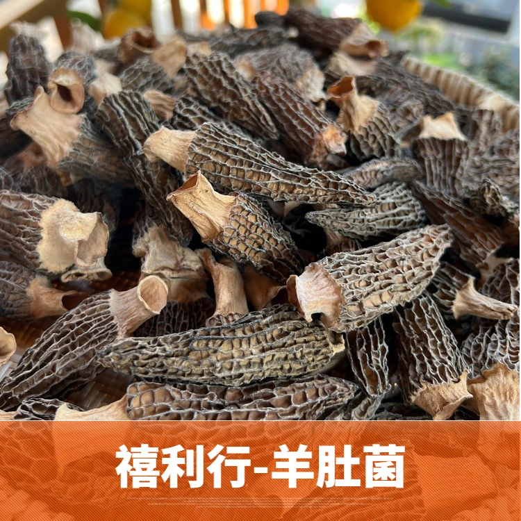 禧利行 羊肚菌干货 8-10cm