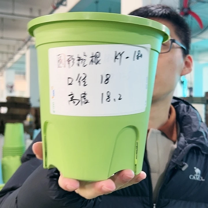 正品圆控口18高18果绿无托8只