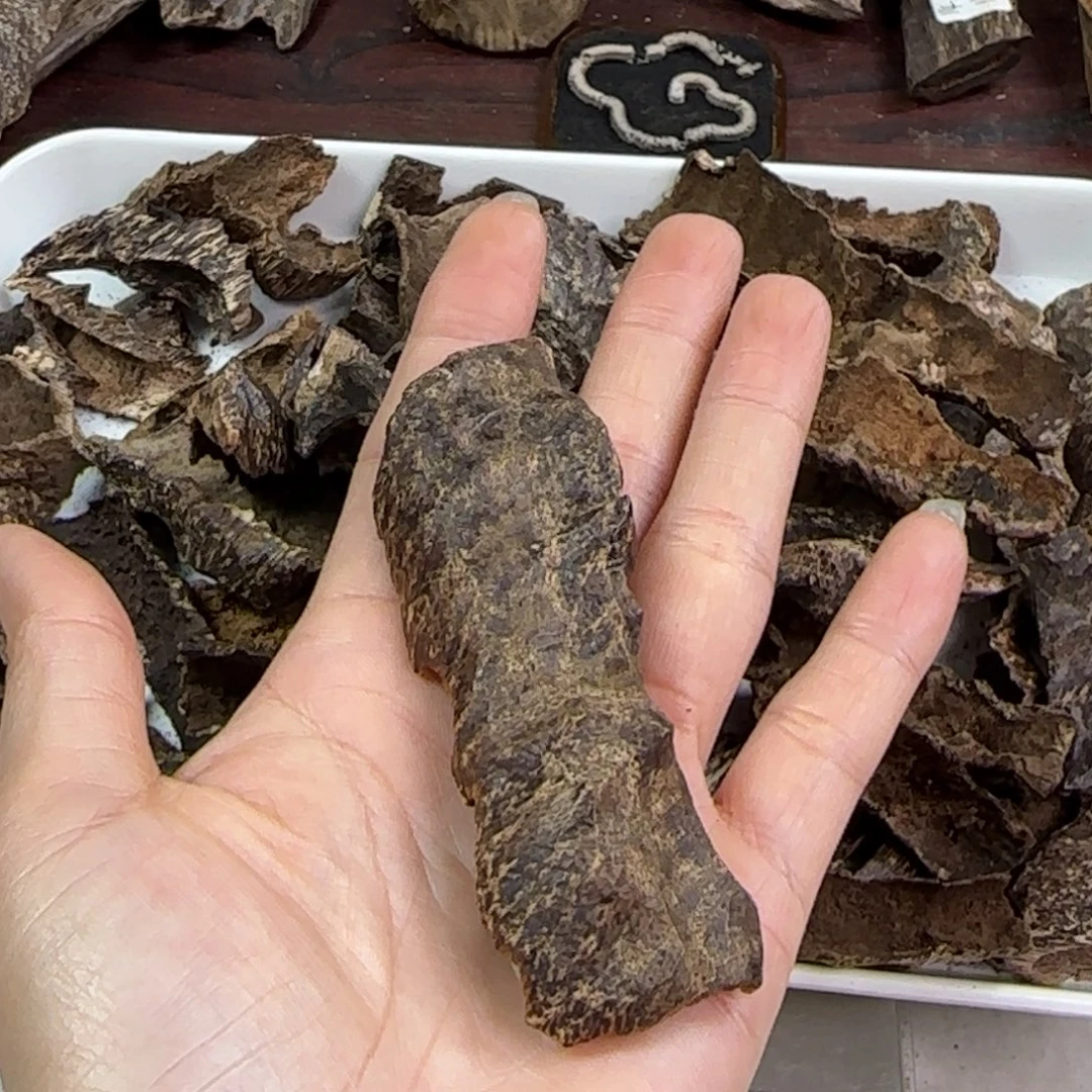 风***1沉香沉香碎屑海南鸡母虫漏6 g