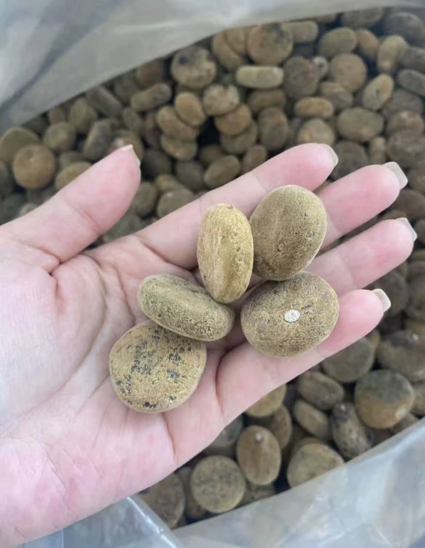 【老班长甄选】  橘红胎果化州正金毛橘红压饼 - 实物以直播间为准