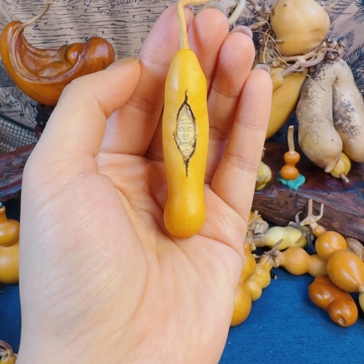 瑞***纺哈哈哈实事求是生生世世