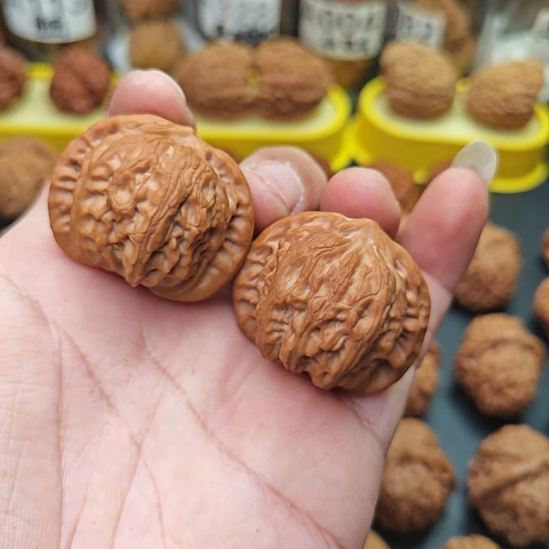 桃核把件落**侠战鼓38尺