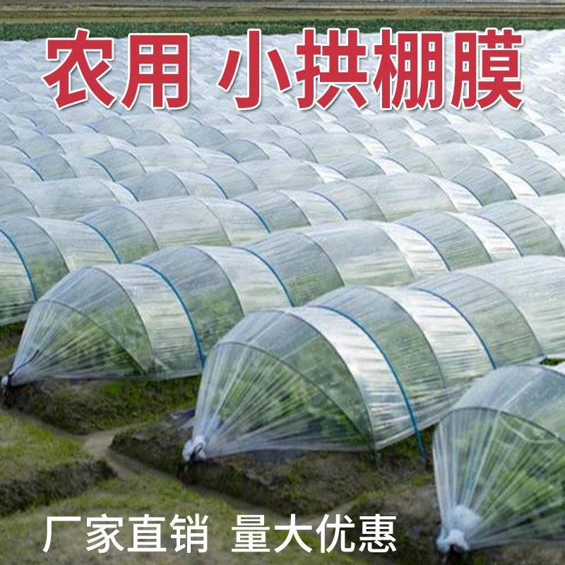 拱棚塑料膜种菜小拱棚专用膜育苗果树四丝二膜蔬菜大棚保温膜农用