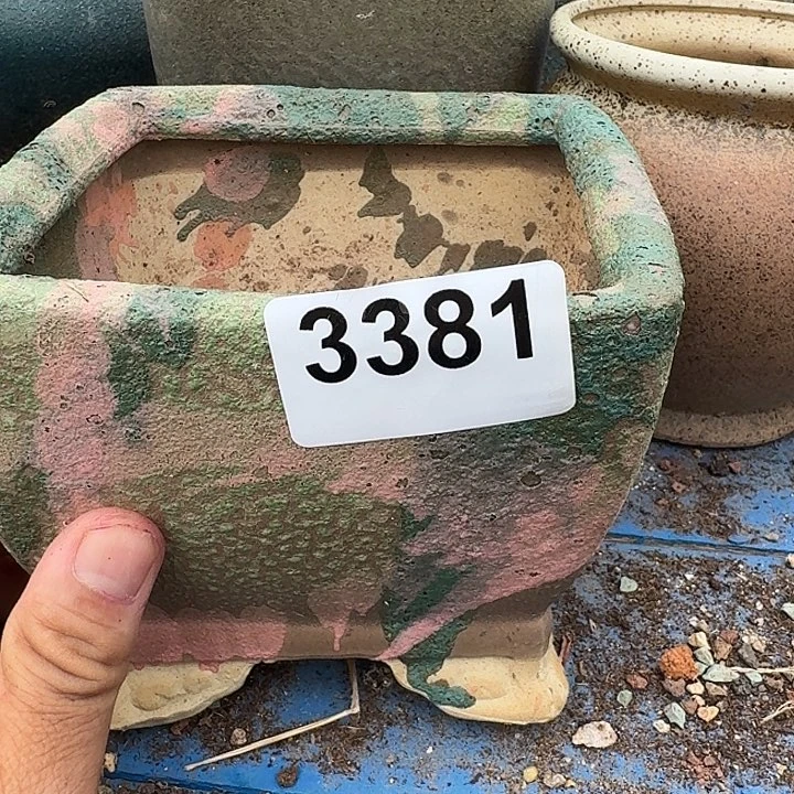 :***菜3381花盆123456789