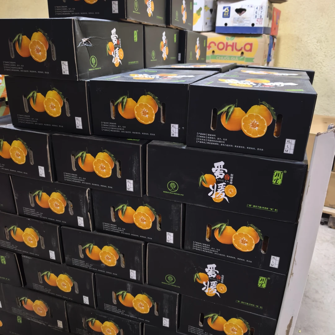 川宝爱媛果冻橙1箱四川省