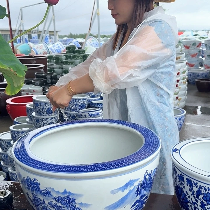 瓷片直径40厘米高度25厘米…………